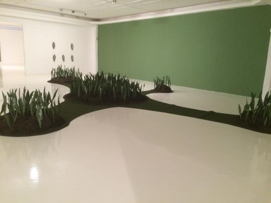 Museu de Arte Contemporânea de Campinas